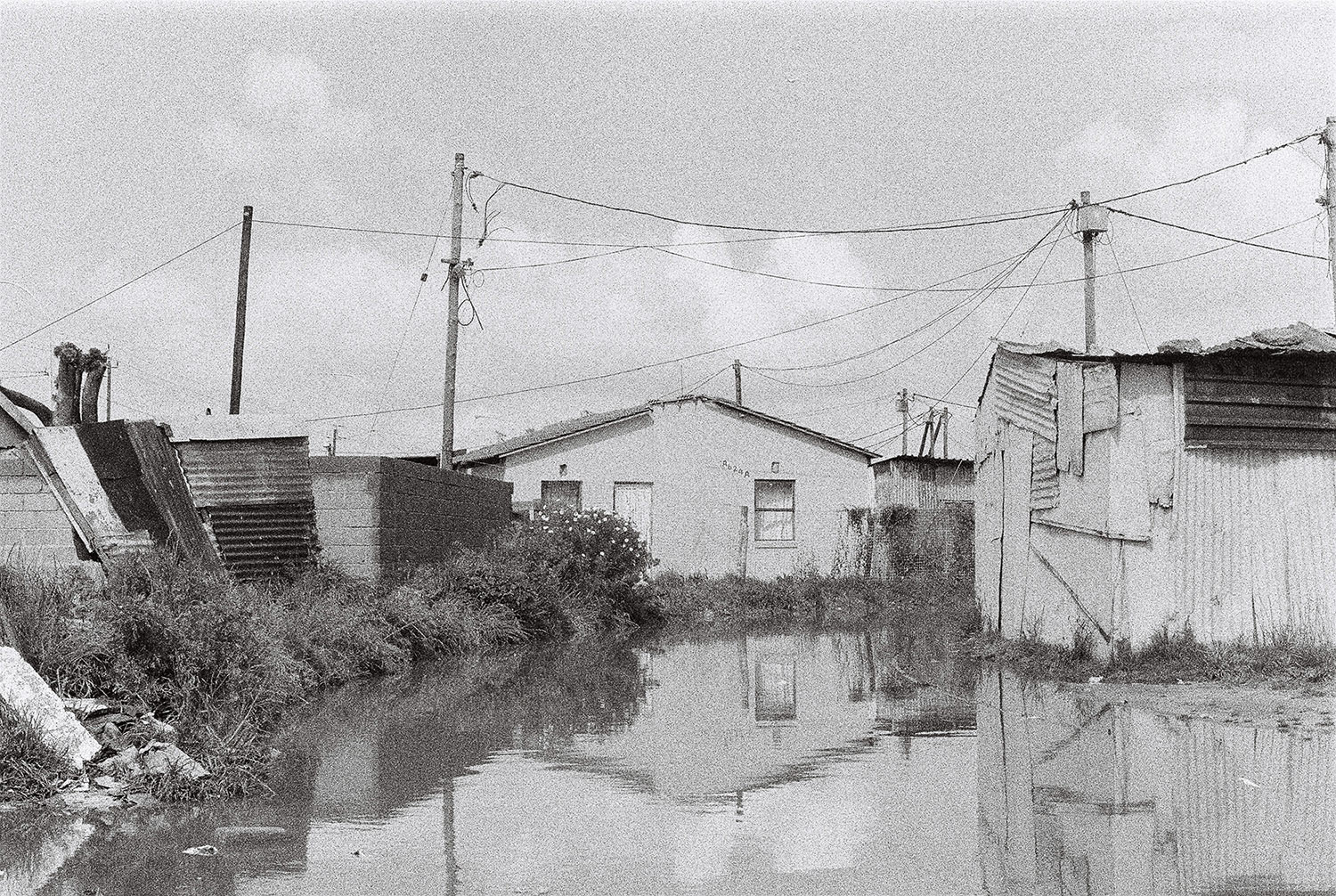 Endinalo Moni 01