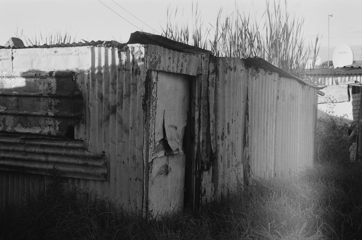 Endinalo Moni 05