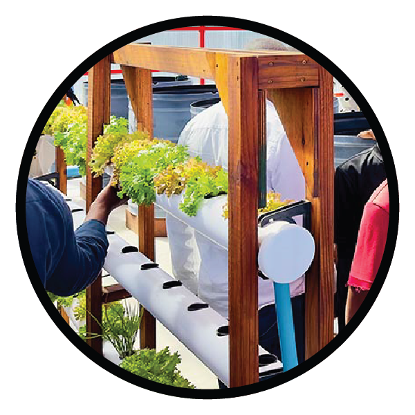 Donate towards Urban Farming